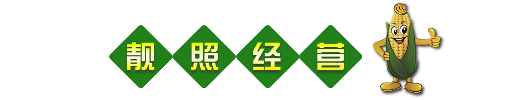 營(yíng)業(yè)執照